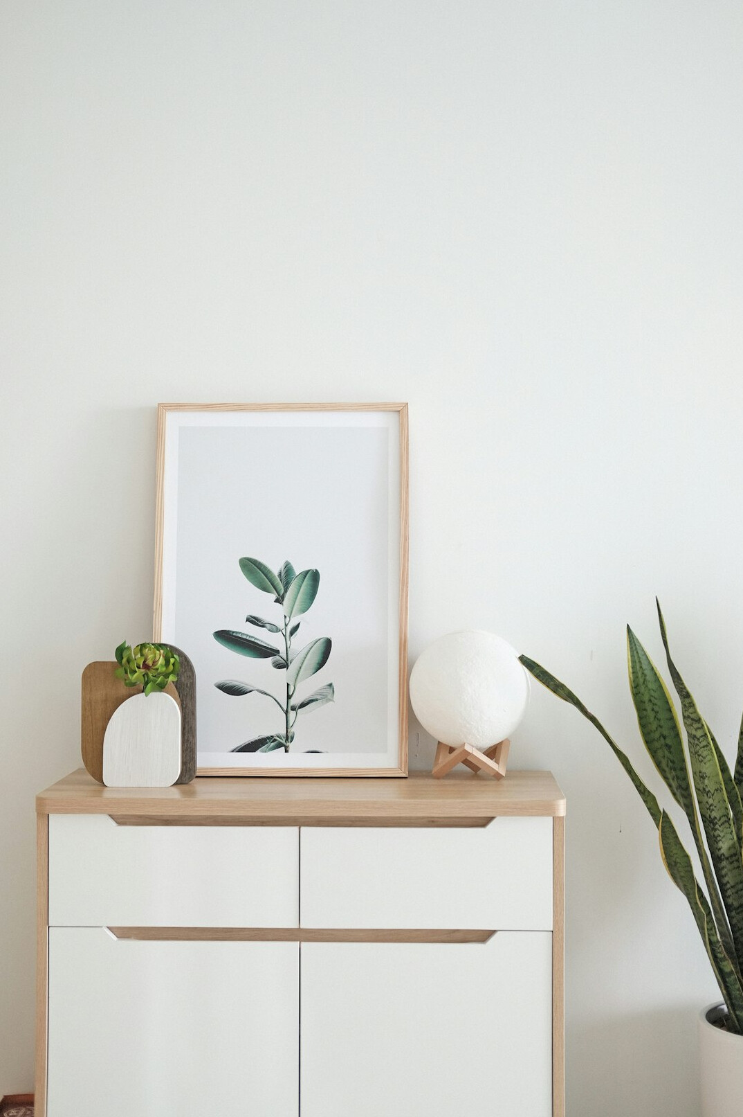 stylish indoor plant decor