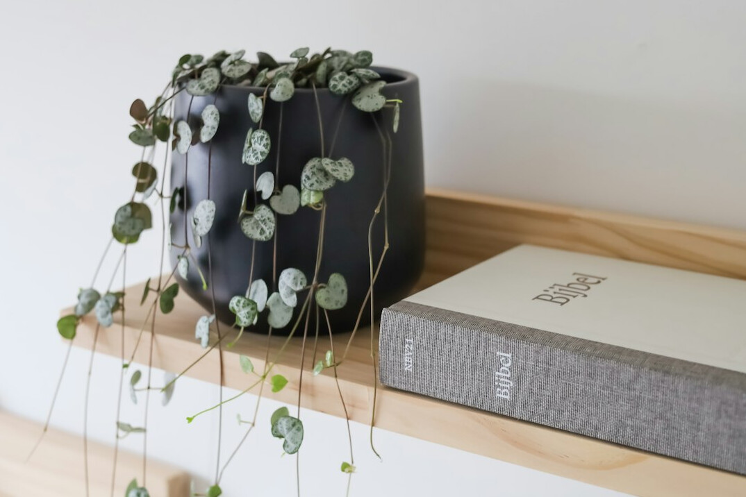 Plants on a shelf next to an open gardening notebook