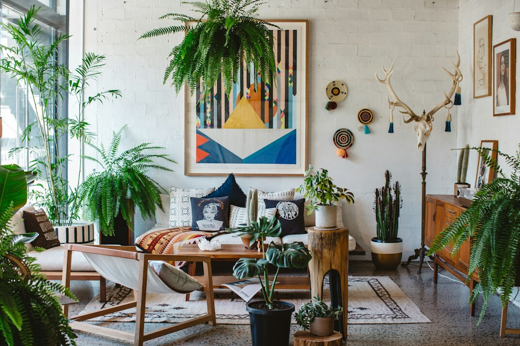lush indoor plants home