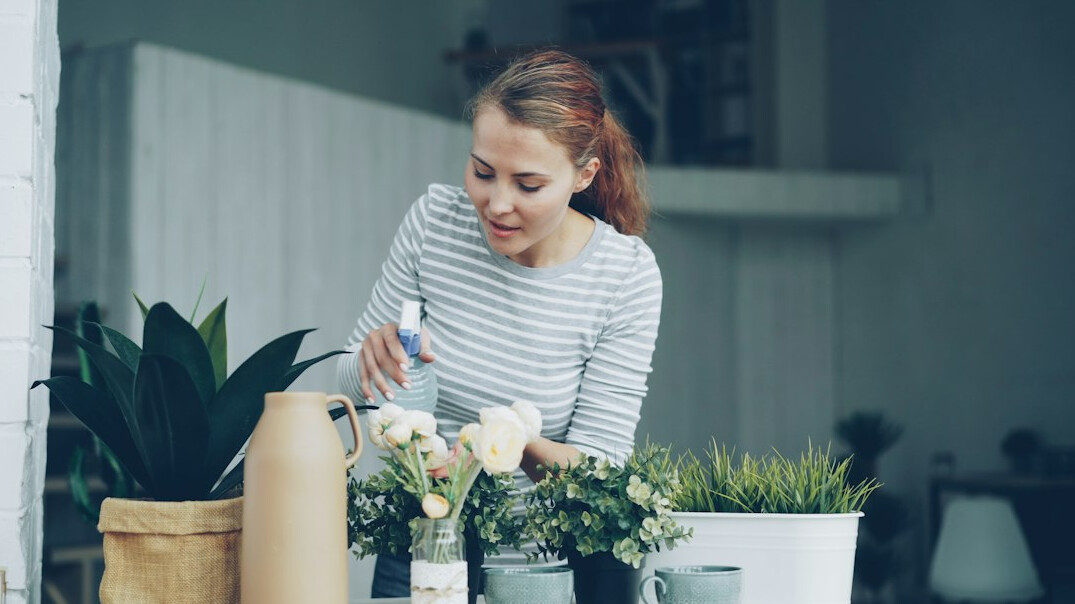 watering indoor plants
