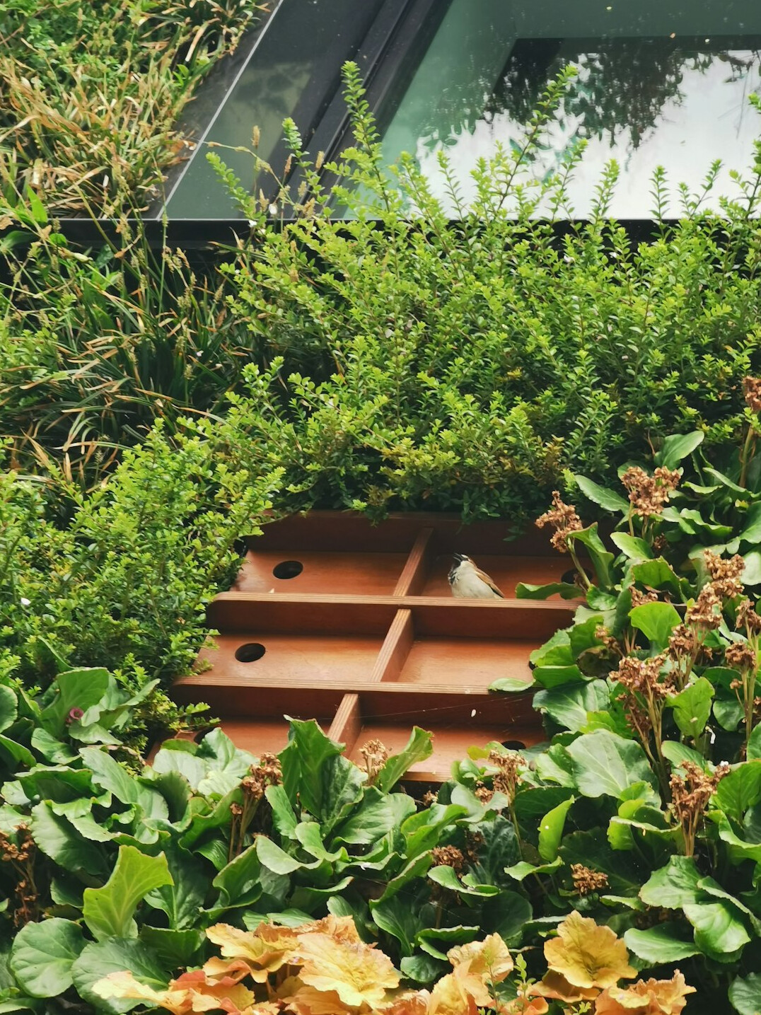 vertical herb planter on wall